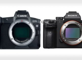 Почему пользователям Canon (все еще) стоит обратить внимание на Sony
